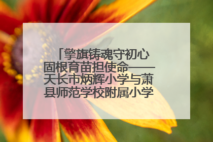 擎旗铸魂守初心 固根育苗担使命——天长市炳辉小学与萧县师范学校附属小学结对共建活动纪实