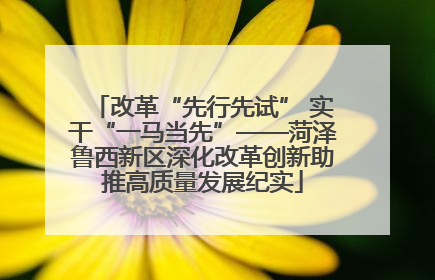 改革“先行先试” 实干“一马当先”——菏泽鲁西新区深化改革创新助推高质量发展纪实