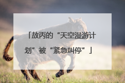 敖丙的“天空漫游计划”被“紧急叫停”