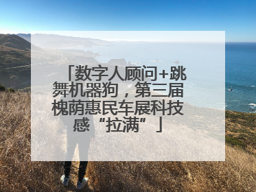 数字人顾问+跳舞机器狗，第三届槐荫惠民车展科技感“拉满”