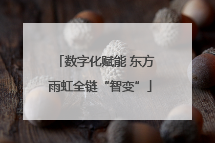 数字化赋能 东方雨虹全链“智变”