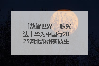 数智世界 一触冀达｜华为中国行2025河北沧州新质生产力峰会成功举办