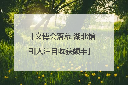 文博会落幕 湖北馆引人注目收获颇丰