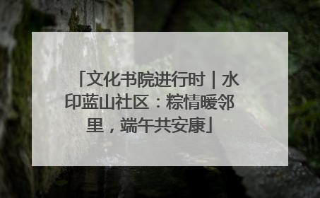 文化书院进行时｜水印蓝山社区：粽情暖邻里，端午共安康