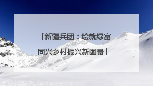 新疆兵团：绘就绿富同兴乡村振兴新图景
