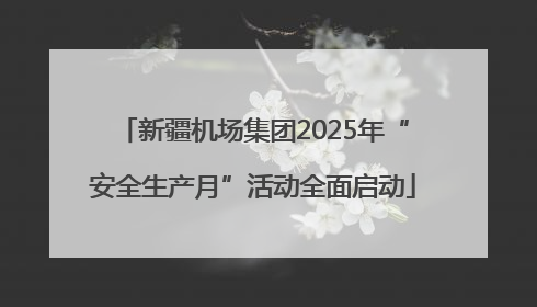 新疆机场集团2025年“安全生产月”活动全面启动
