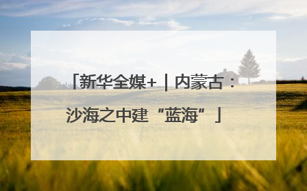 新华全媒+｜内蒙古：沙海之中建“蓝海”