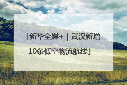 新华全媒+｜武汉新增10条低空物流航线