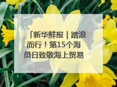新华鲜报｜踏浪而行！第15个海员日致敬海上贸易“守护人”