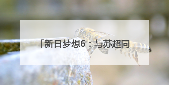 新日梦想6：与苏超同频的“梦想坐骑”，为每一份热爱全力加速