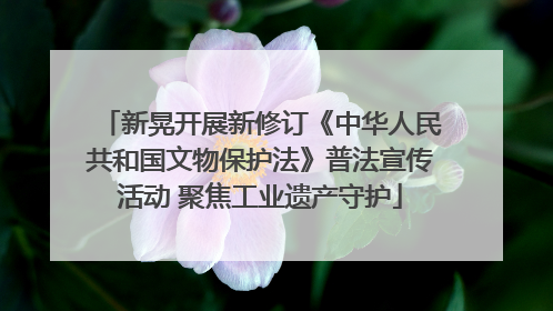 新晃开展新修订《中华人民共和国文物保护法》普法宣传活动 聚焦工业遗产守护
