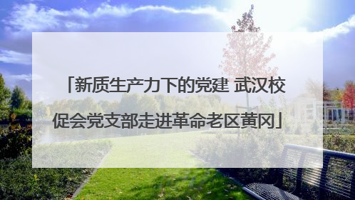 新质生产力下的党建 武汉校促会党支部走进革命老区黄冈
