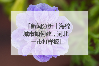 新闻分析丨海绵城市如何建，河北三市打样板