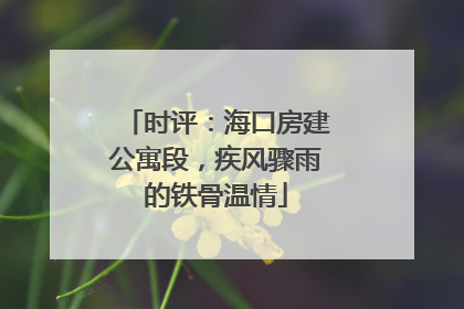 时评：海口房建公寓段，疾风骤雨的铁骨温情