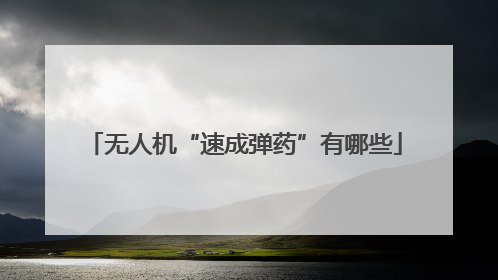 无人机“速成弹药”有哪些