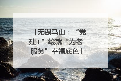 无锡马山：“党建+”绘就“为老服务”幸福底色