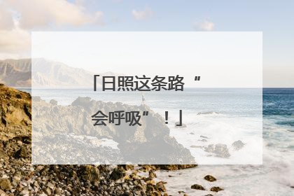 日照这条路“会呼吸”！
