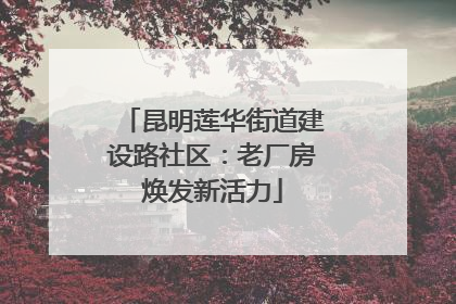 昆明莲华街道建设路社区：老厂房焕发新活力