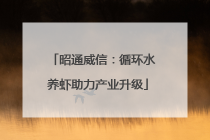 昭通威信：循环水养虾助力产业升级