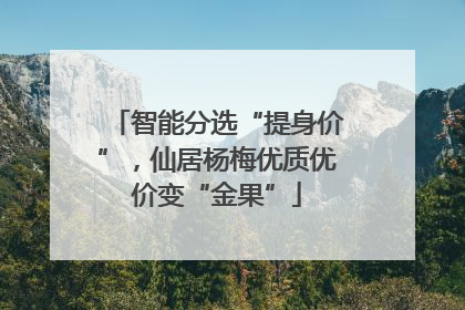 智能分选“提身价”，仙居杨梅优质优价变“金果”