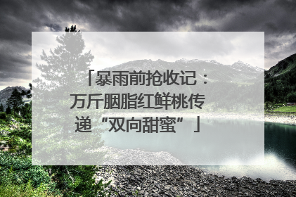 暴雨前抢收记：万斤胭脂红鲜桃传递“双向甜蜜”