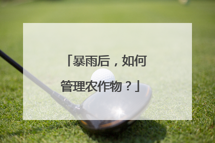 暴雨后，如何管理农作物？