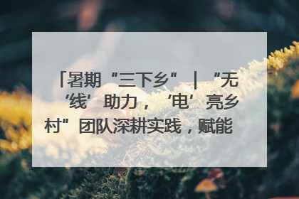 暑期“三下乡”｜“无‘线’助力，‘电’亮乡村”团队深耕实践，赋能乡村振兴新图景