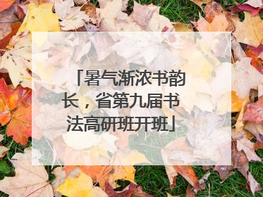 暑气渐浓书韵长，省第九届书法高研班开班