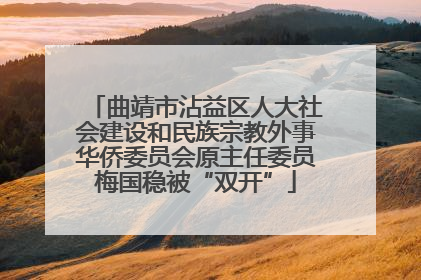 曲靖市沾益区人大社会建设和民族宗教外事华侨委员会原主任委员梅国稳被“双开”