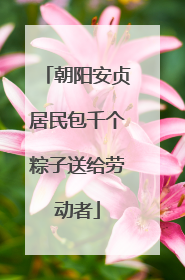 朝阳安贞居民包千个粽子送给劳动者