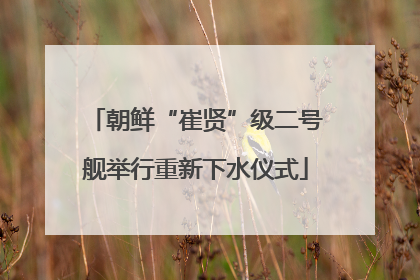 朝鲜“崔贤”级二号舰举行重新下水仪式