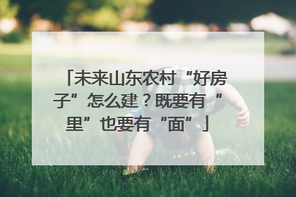 未来山东农村“好房子”怎么建?既要有“里”也要有“面”