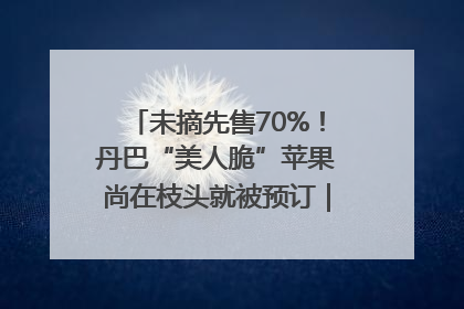 未摘先售70%！丹巴“美人脆”苹果尚在枝头就被预订｜长征路上看四川