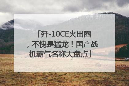 歼-10CE火出圈，不愧是猛龙！国产战机霸气名称大盘点