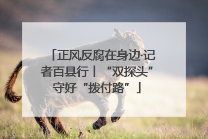 正风反腐在身边·记者百县行丨“双探头”守好“拨付路”