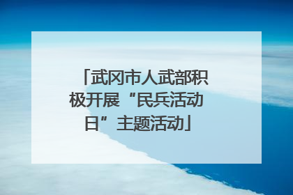 武冈市人武部积极开展“民兵活动日”主题活动