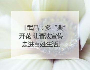 武昌：多“典”开花 让普法宣传走进百姓生活