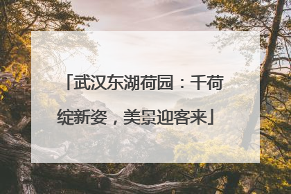 武汉东湖荷园：千荷绽新姿，美景迎客来
