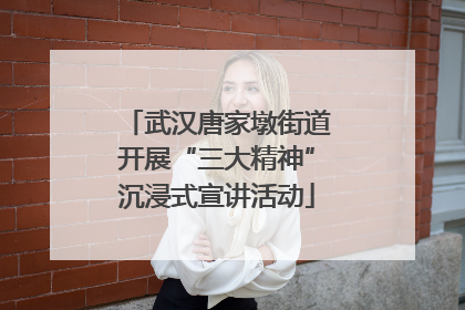 武汉唐家墩街道开展“三大精神”沉浸式宣讲活动