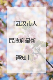 武汉市人民政府最新通知