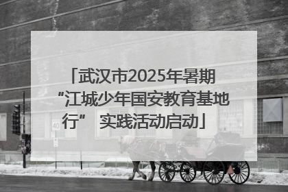 武汉市2025年暑期“江城少年国安教育基地行” 实践活动启动