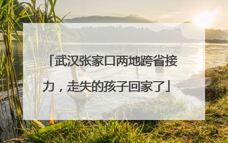武汉张家口两地跨省接力，走失的孩子回家了