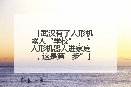 武汉有了人形机器人“学校”，“人形机器人进家庭，这是第一步”