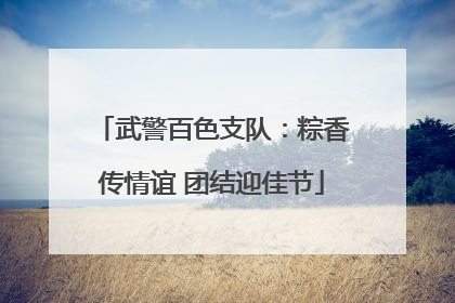 武警百色支队：粽香传情谊 团结迎佳节