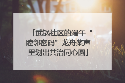 武锅社区的端午“睦邻密码”龙舟桨声里划出共治同心圆