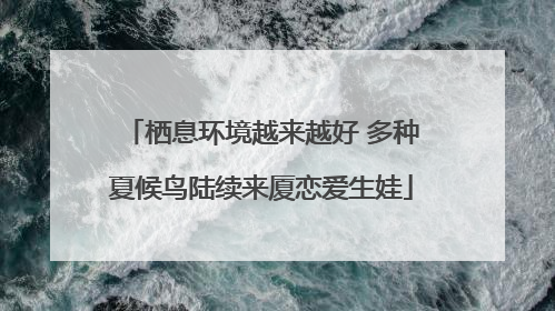 栖息环境越来越好 多种夏候鸟陆续来厦恋爱生娃