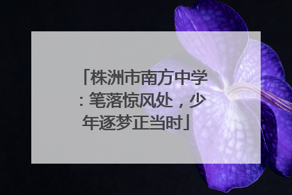 株洲市南方中学：笔落惊风处，少年逐梦正当时