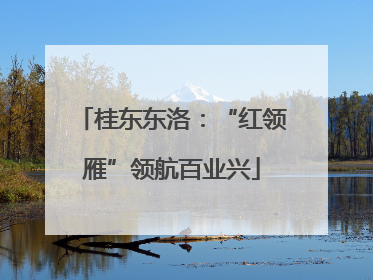 桂东东洛：“红领雁”领航百业兴