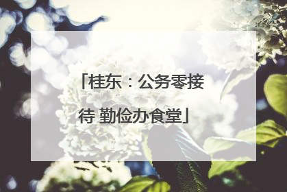 桂东：公务零接待 勤俭办食堂