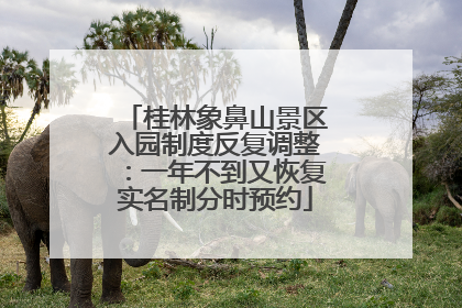 桂林象鼻山景区入园制度反复调整：一年不到又恢复实名制分时预约